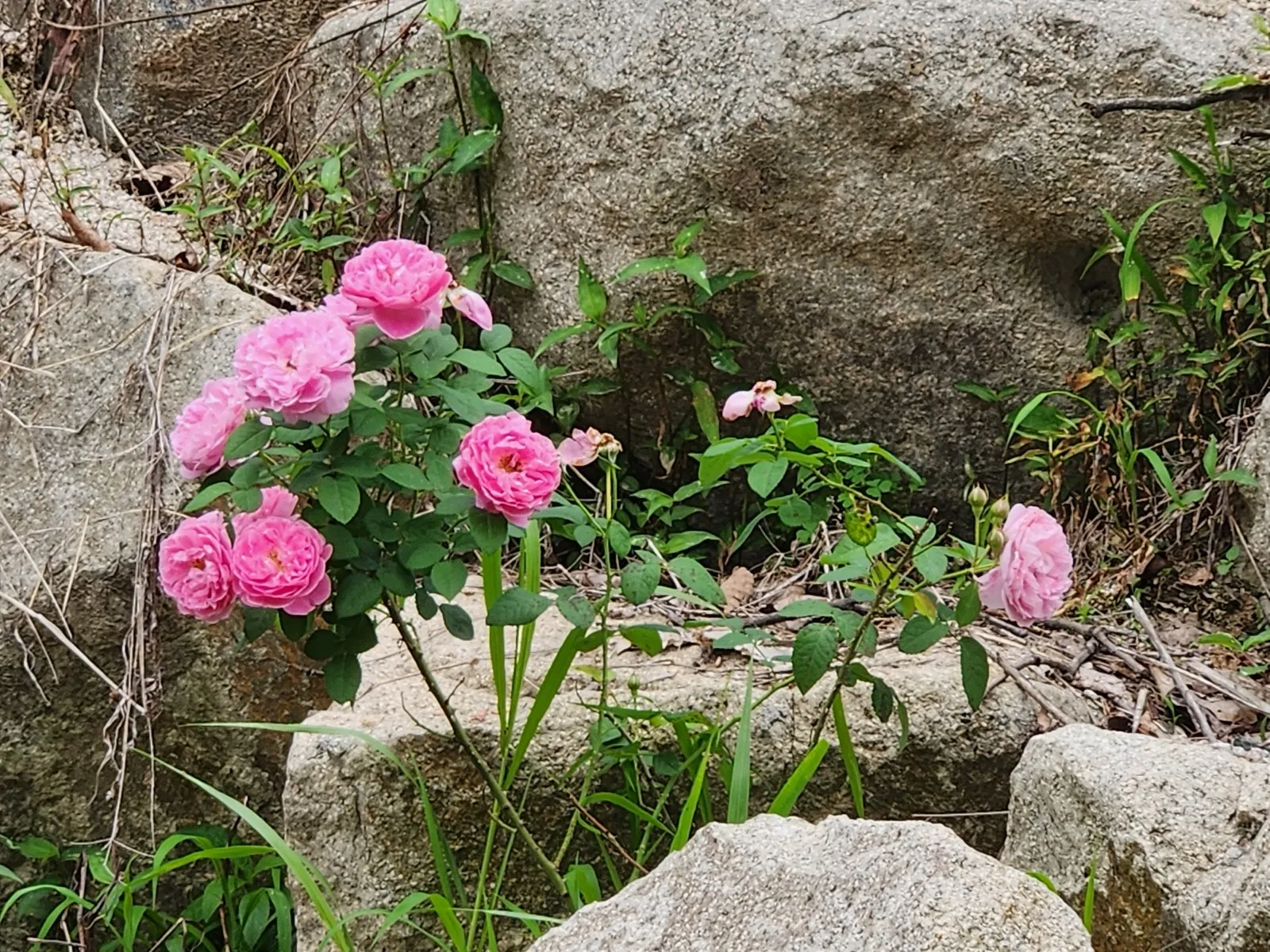 경험골 일상 사진 51